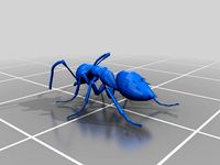 model ant  by ants_and_pets
