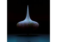 Spinning Top Aladdin by AlexStormND