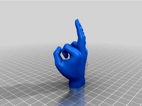 Middle Finger with nickname text by MRSW3D