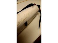 Landing Nose Wedge for Max Thrust Aggressor Glider by Marthr