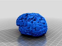 My Brain by barkalow117