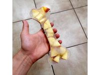 ICE Bone Mold for Dogs by Paddy_91088