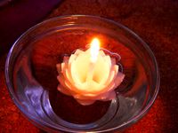 lotus flower water by DeDe121