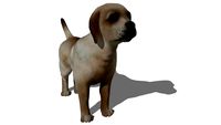 chiot