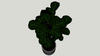 Plants3d
