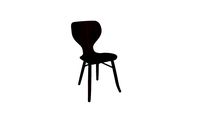 Linteloo Tulipani Chair by Roderick Vos