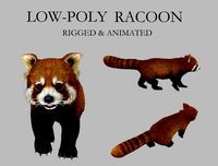 racoon palm civet panda civet