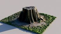 trunk scan