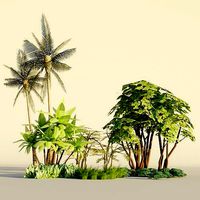 Tropical tree and bush set mega pack
