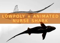Nurse Shark