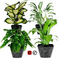 Collection plant one