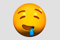 Emoji Drooling Face