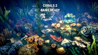 Corals 2