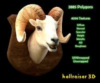 Ram Head - PBR - Textured