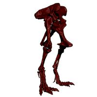 Giganotosaurus Hip Leg Set Skeletons