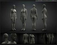 human