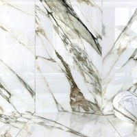 Wall Tiles Museum  Macchia Vecchia 160x320 Set