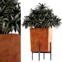 Plants Collection 74