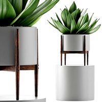 Plants Collection 73