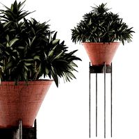 Plants Collection 49