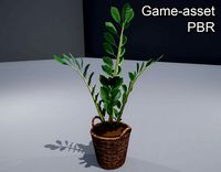 Flower Pot Plant