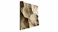 321-RockPanel