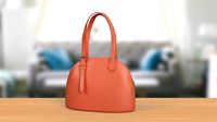 Dupree Handbag Gianna