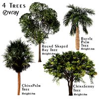 Set of Trees - China Palm - Chinaberry - Bay - Bottle Palm Tree