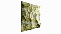 268-RockPanel