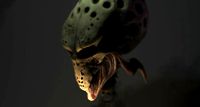 Snail skull