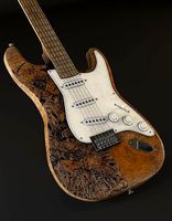 Fender Guitar Electric