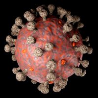 Coronavirus realistic