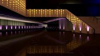 De Young Museum