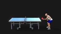 Tennis Table- Ping Pong Table
