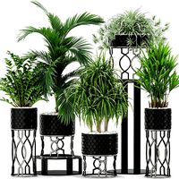 Plants collection 367