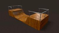 Skate ramp11