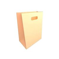 Shopping Bag v1 002