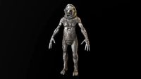 Tribe Men Bumbklaat
