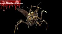 Land Bug 1