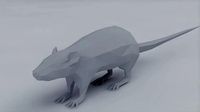 3d low poly hamsterpet