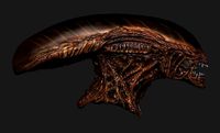 Alien Resurrection Warrior head