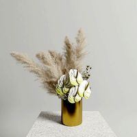 Anthuriums Pampas set
