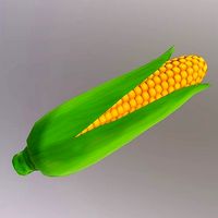 Corn lowpoly 3d model