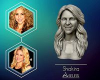 Shakira 3d model sculpture | 3D
