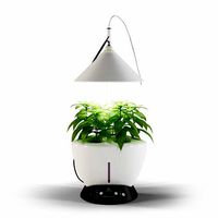 Revone Magic Garden phyto lamp
