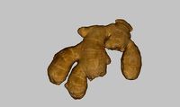 Ginger