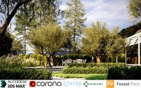 Olive Tree Collection - Include GrowFX and Mesh file