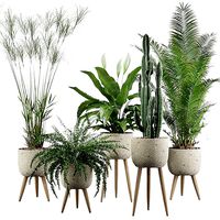 Plants collection 052