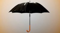 Realistic Classic Umbrella 4K