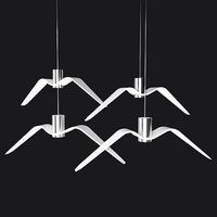Night birds